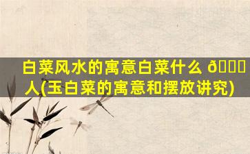 白菜风水的寓意白菜什么 🐎 人(玉白菜的寓意和摆放讲究)